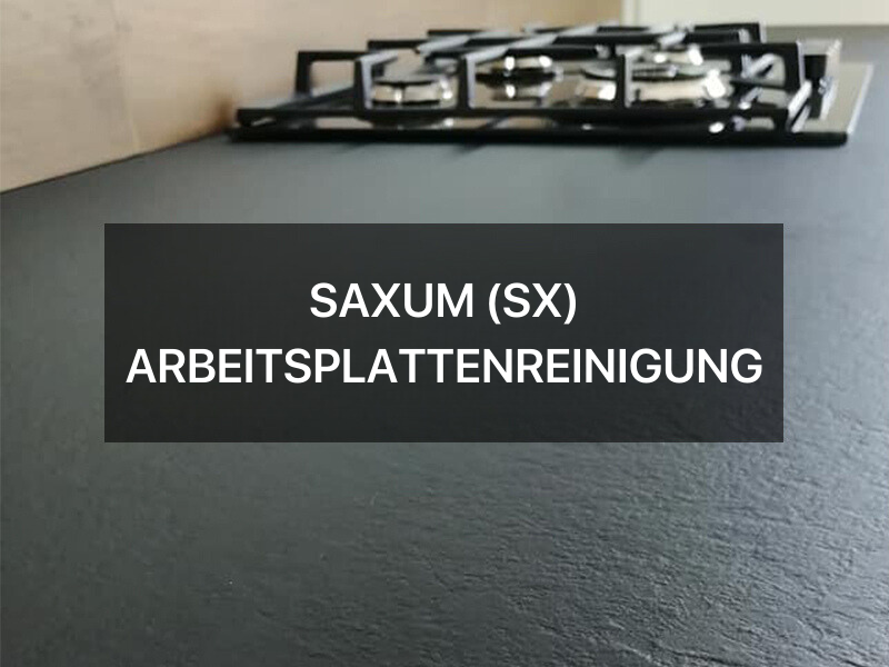SX-Arbeitsplattenreinigung фото №17