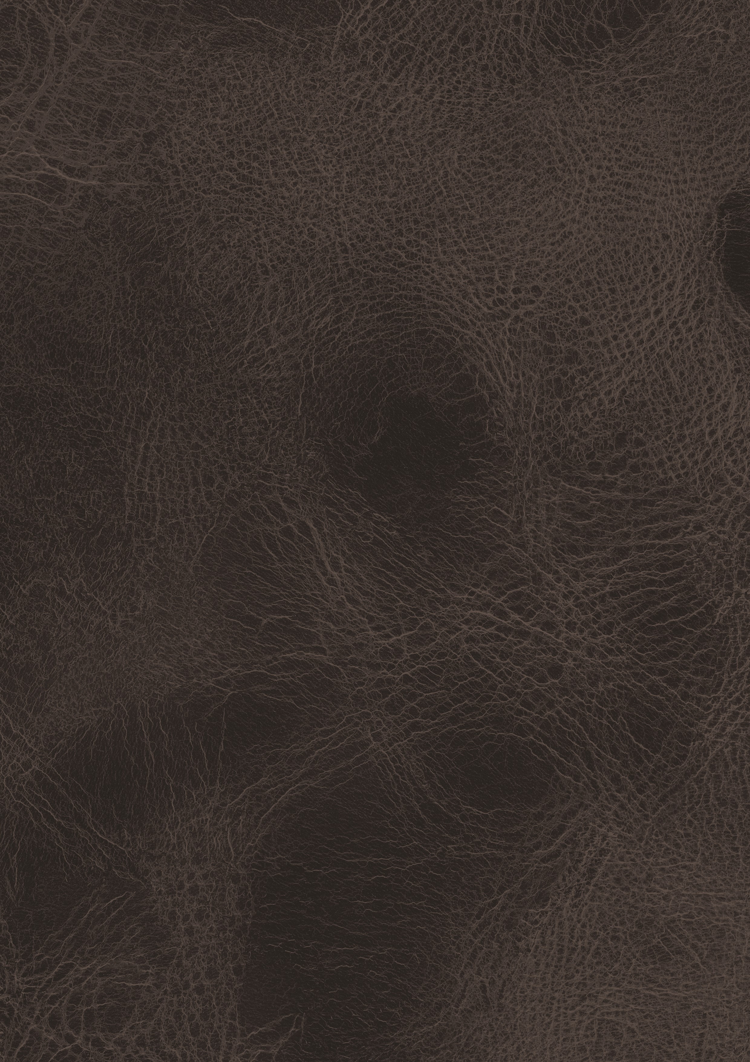 Saloon - photo №4