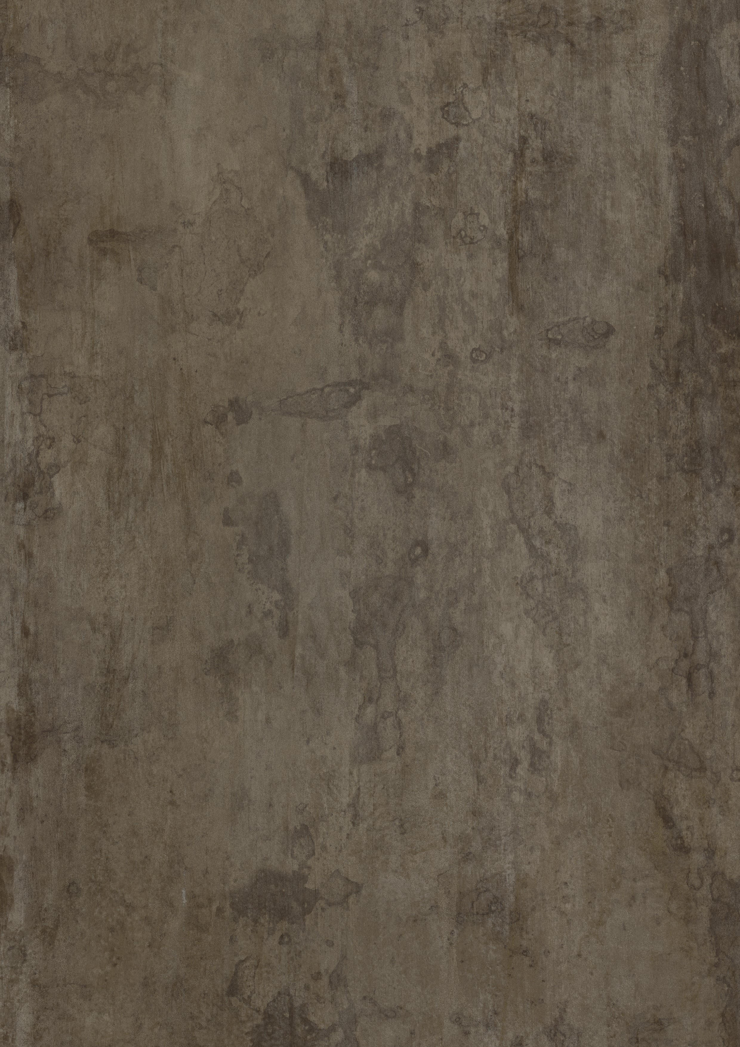 Aristo - photo №5