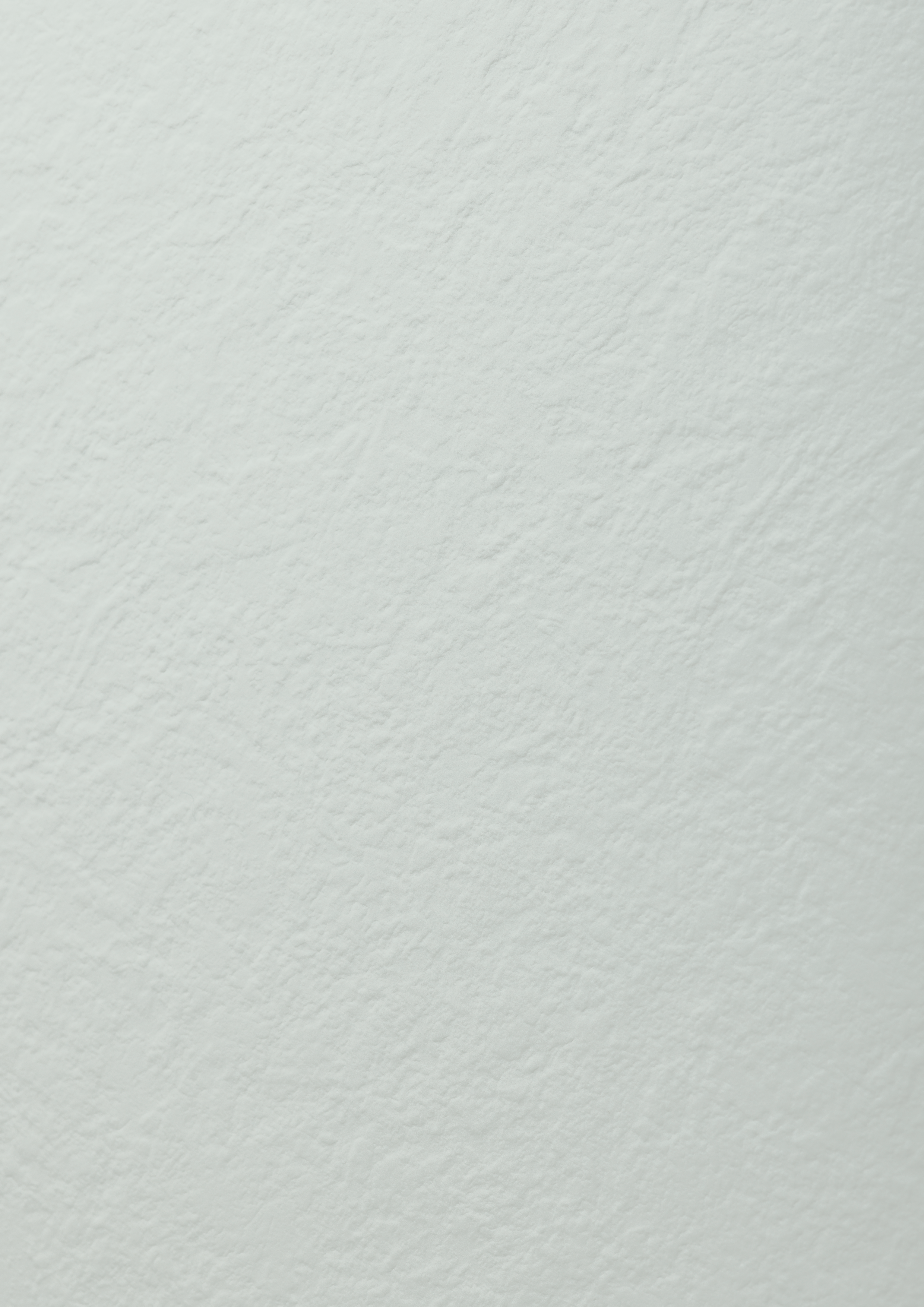 Birch Grey SX - photo №15