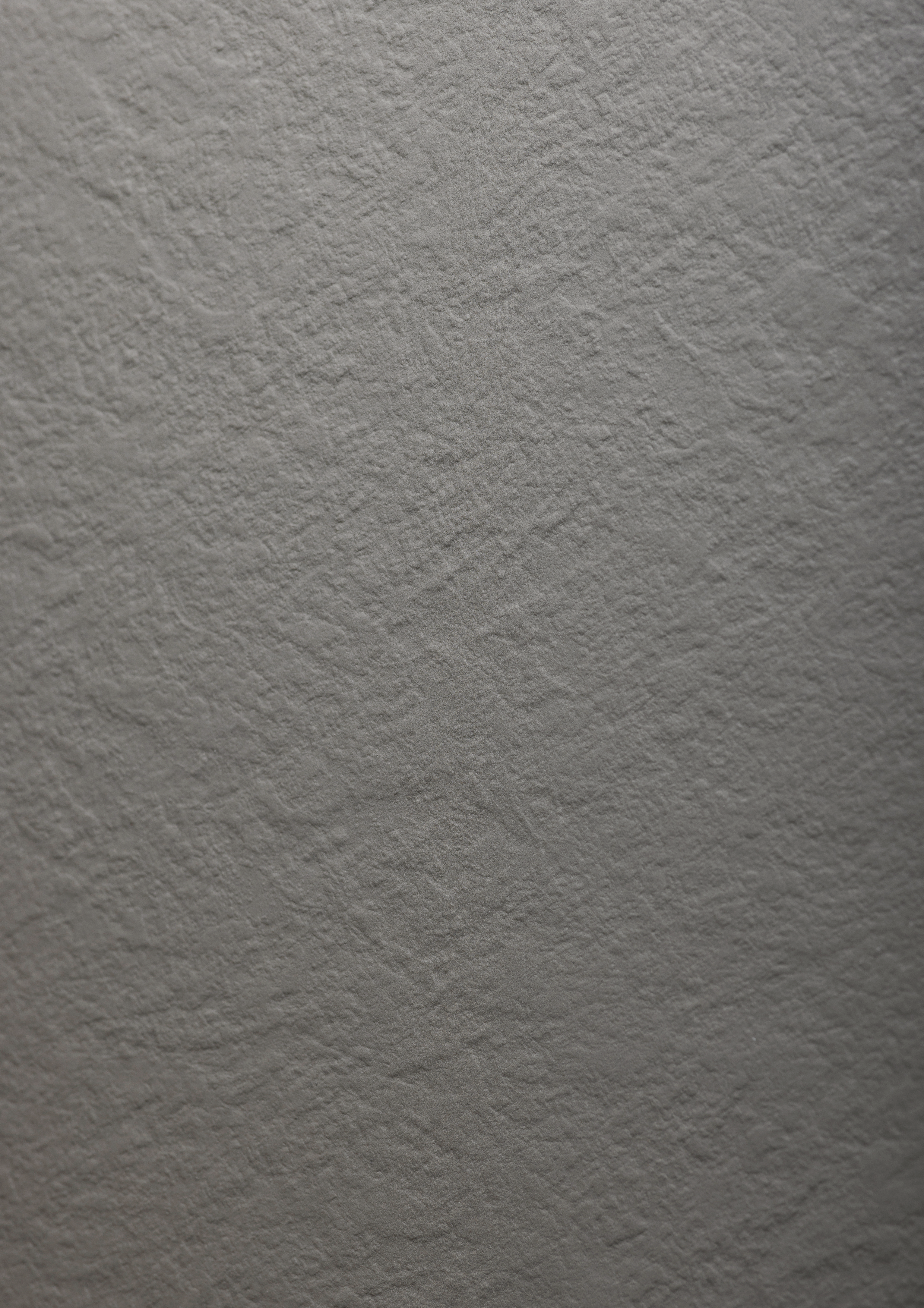 Warm Grey Dark SX - photo №16