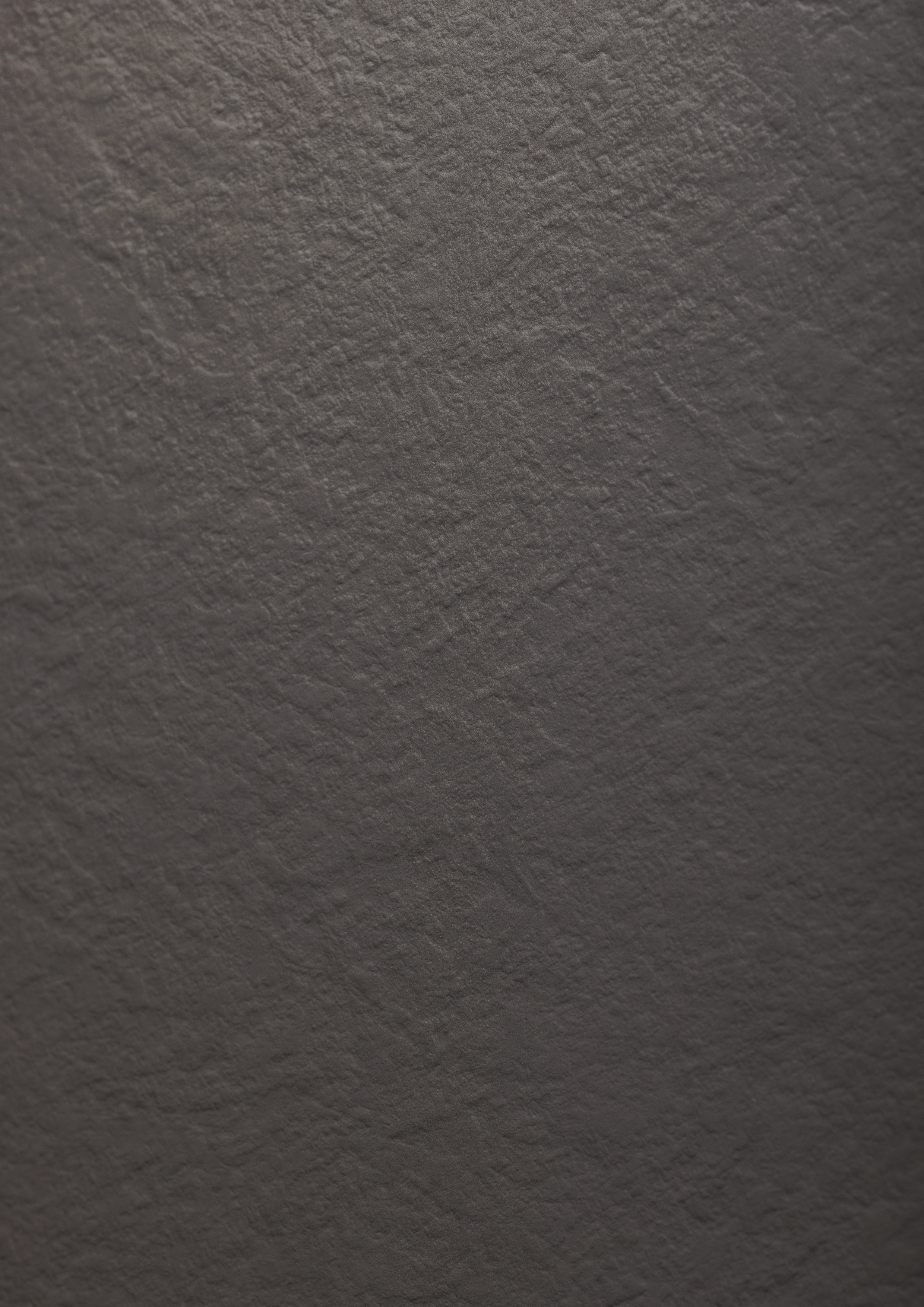 Charcoal SX - photo №12
