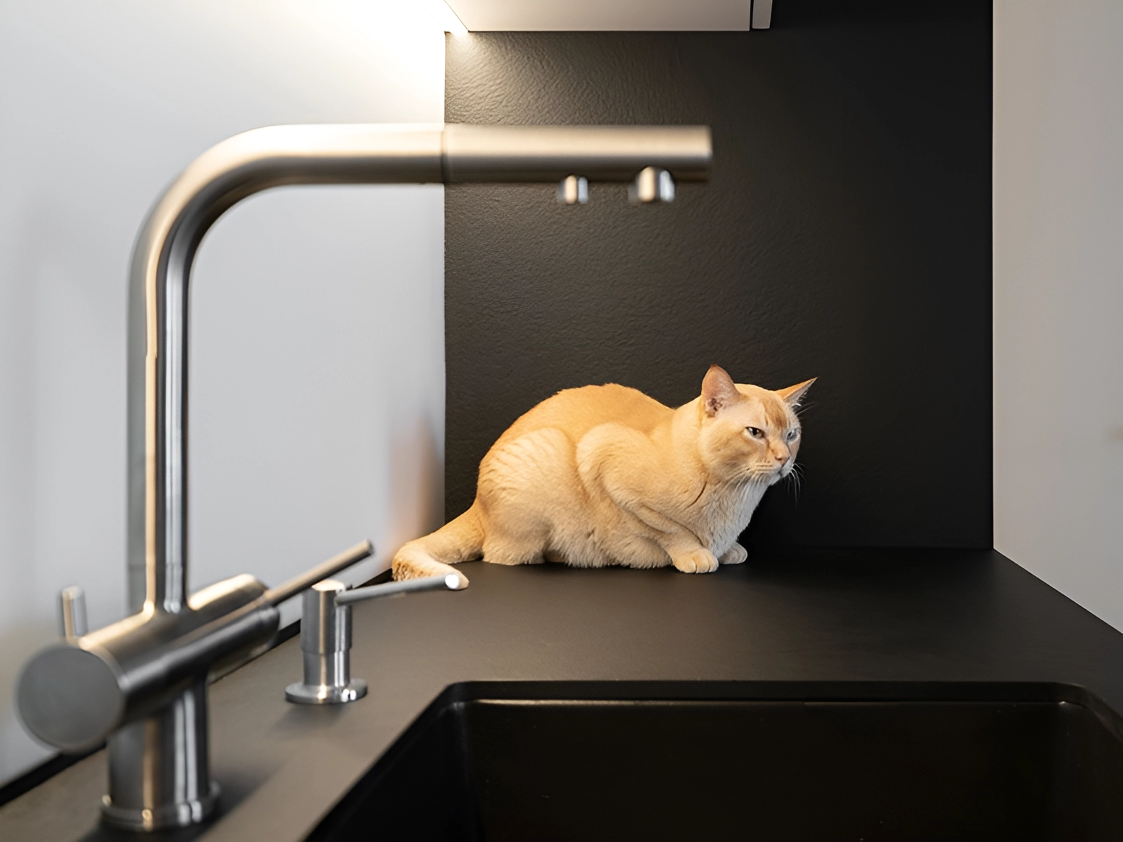 Decor Ryzhoho Kitchen countertops Fundermax - photo №9