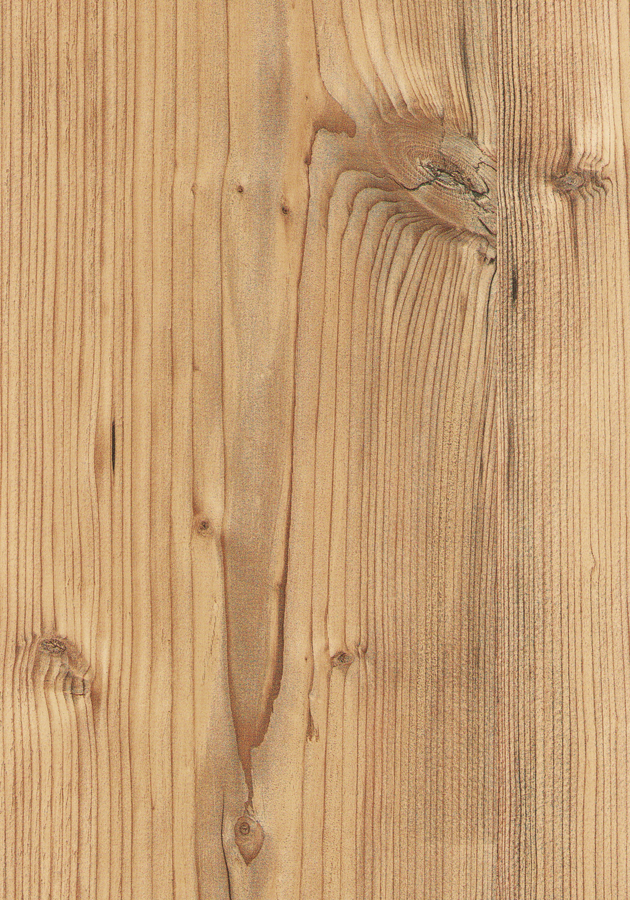 Natural Silver Fir - photo №11