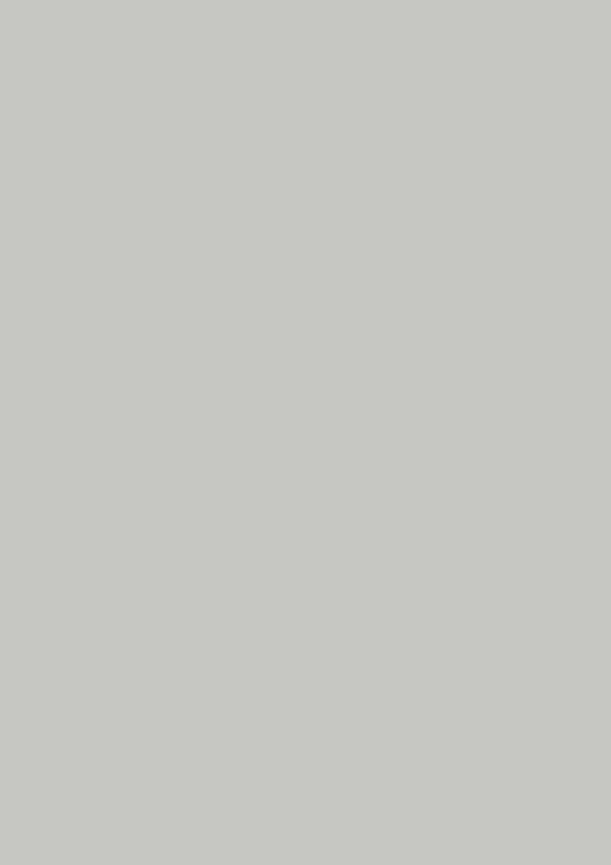 Pastel Grey - photo №1