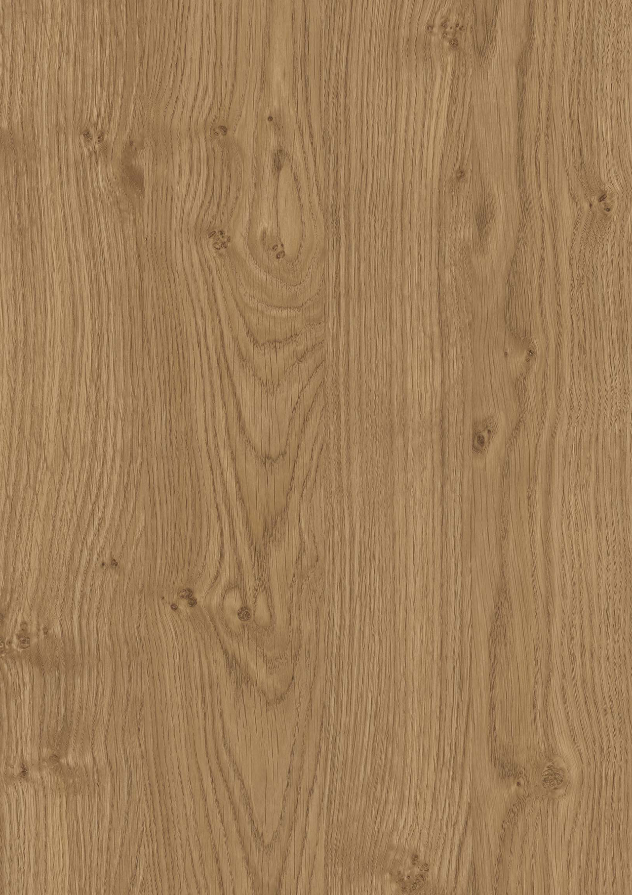 Cognak Oak - photo №0